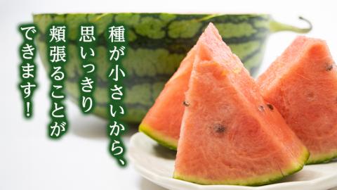 【 先行予約 2026年7月下旬以降発送 】 小玉 スイカ ピノ・ガール 5玉 優以上 NONAKA HIROSHI FARM すいか 西瓜 数量限定 甘い 夏 果物 旬 [AX030ya] ピノ・ガール 5玉