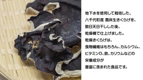 八千代町産 乾燥 きくらげ 約 40g キクラゲ 木耳 きのこ キノコ 乾燥 ふるさと納税 6000円 茨城県 八千代町 [CW002ya]