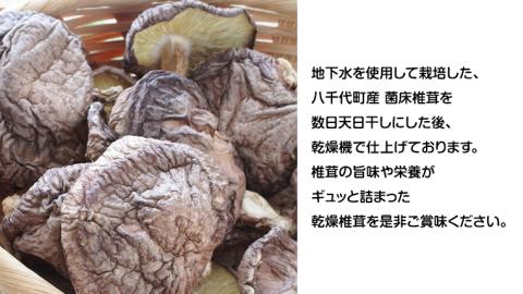 八千代町産 乾燥 しいたけ 約40g 椎茸 シイタケ きのこ キノコ 乾燥 ふるさと納税 6000円 茨城県 八千代町 [CW004ya]
