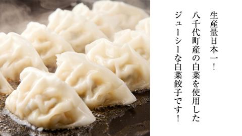 【生産量日本一！】総重量3750g！ 八千代町の白菜を使った ジューシー白菜餃子 150個（冷凍） ぎょうざ 冷凍餃子 惣菜 中華 点心 お取り寄せ ギョーザ ギョウザ 小分け おつまみ [BN004ya]