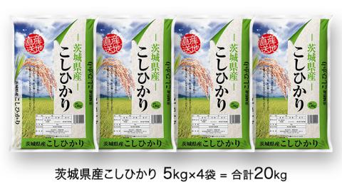 【 先行予約 】 令和5年産 茨城県産 コシヒカリ ( 精米 ) 20kg ( 5kg × 4袋 ) 米 こめ 白米 コメ こしひかり 単一米 限定[AK016ya]