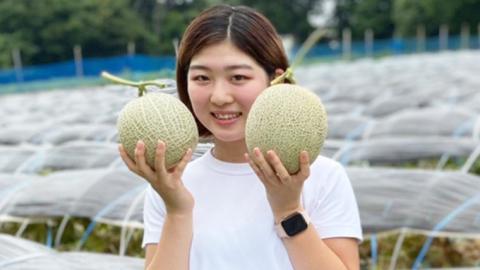 【 令和8年産 】【 先行予約 】クラリスメロン 秀品 1箱 3玉～5玉入り 飯岡 メロン クラリス 青肉 果物 フルーツ 甘い [CG003ya] クラリスメロン 秀品 3玉～5玉