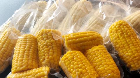 ＜先行予約＞ 2023年7月中旬以降発送 【訳あり】 加熱調理済み 真空とうもろこし 食べ比べセット（ ゴールドラッシュ＆クリスピーホワイト ） 約3kg 無添加 保存料不使用 ［AU027ya]