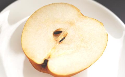 ＜先行予約＞【2023年10月中旬以降発送】 片野果樹園 王秋 (おうしゅう) 梨 約5Kg 王秋梨 なし ナシ フルーツ 果物 旬 産地直送 国産 茨城県 [AD007ya]