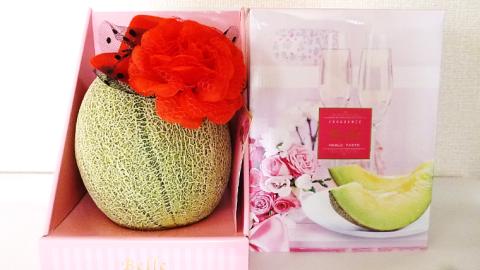 ＜先行予約＞【2023年6月上旬以降発送】貴婦人メロン「belle」 タカミレッド 赤肉メロン メロン 貴味 タカミ 赤肉 [AY004ya]