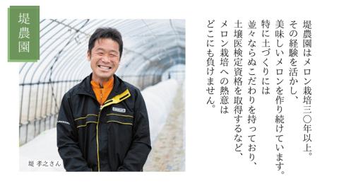 【先行予約】 【 6月中旬以降発送】  タカミメロン 秀品 1箱 3～4玉入り 期間限定 産地直送 果物 フルーツ メロン 青肉 甘い [AV008ya] タカミメロン３～４玉入