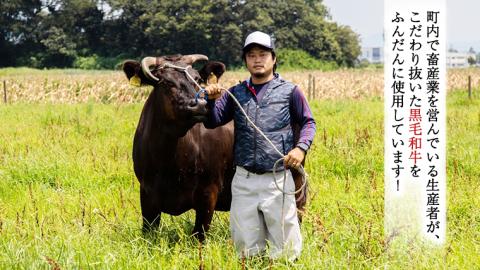 【八千代町産和牛と野菜使用】 【黒毛和牛ビーフカレー】 298（にくや） カレー （200g×20袋） レトルト ビーフ 和牛 ひとり暮らし インスタント お取り寄せ 惣菜 グルメ [CA004ya]