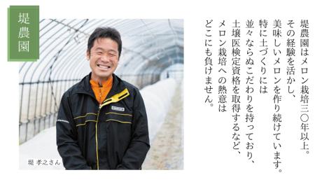 【 先行予約 6月中旬以降発送 】 令和5年産 ビレンス メロン 約2kg 1箱 2玉入り めろん 期間限定 産地直送 果物 フルーツ 青肉 甘い 新鮮 希少 ギフト [AV007ya]