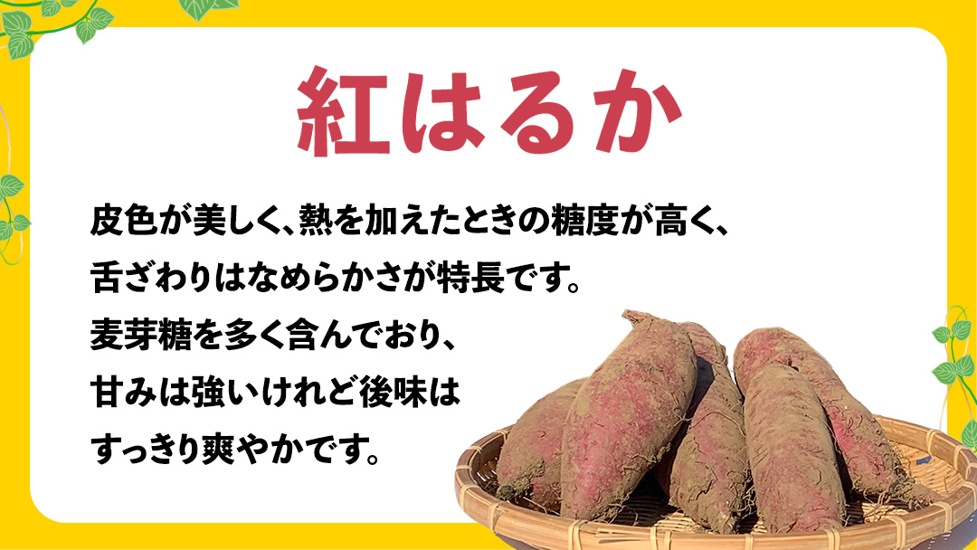 訳あり さつまいも 紅はるか 約 5kg 土付き 無選別 茨城 八千代町産 生芋 サツマイモ さつま芋 焼き芋 やきいも 芋 イモ 野菜 不揃い 規格外 長期熟成 おやつ デザート 秋 旬 農家直送 5000円 【 先行予約 2025年10月下旬以降発送 】 [AX046ya]