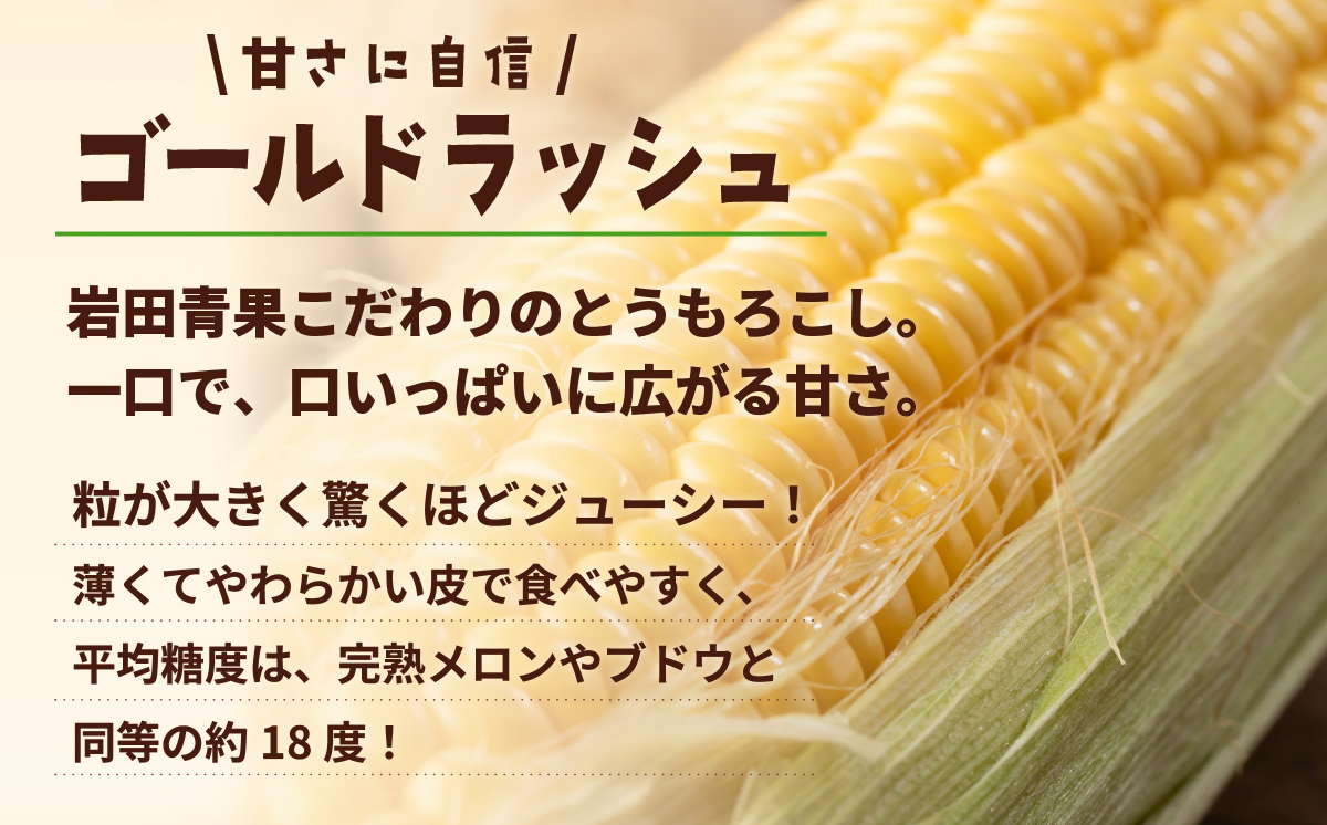 【関東＋山梨県限定 当日便】【先行予約 2026年6月中旬以降発送 】 【 令和8年産 】深夜採り 朝出荷 とうもろこし （ ゴールドラッシュ ） 約 3.5kg トウモロコシ 深夜採り 甘い 新鮮 スイートコーン コーン 野菜 極甘 岩田さん 2026 [AX065ya] 【当日便】ゴールドラッシュ（約3.5kg）