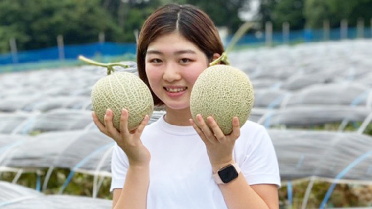 【 令和8年産 】【 先行予約 】クラリスメロン 秀品 1箱 2玉入り 飯岡 メロン クラリス 青肉 果物 フルーツ 甘い [CG004ya] クラリスメロン 秀品 2玉