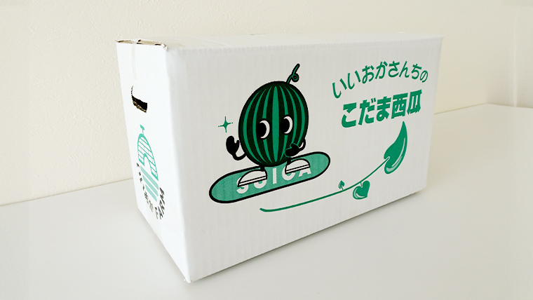 【 令和8年産 】【 先行予約 】小玉 スイカ 姫甘泉ブラック 1箱 2玉入り すいか 黒 西瓜 数量限定 甘い 夏 果物 [CG005ya] 小玉スイカ 姫甘泉ブラック 2玉