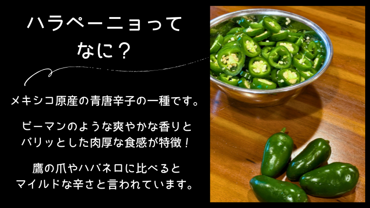 【 先行予約 2026年9月上旬順次発送】 採りたてフレッシュなハラペーニョ 辛くて旨い！ 1kg コジカジュ園 農家直送 茨城県 八千代町 [CX008ya]