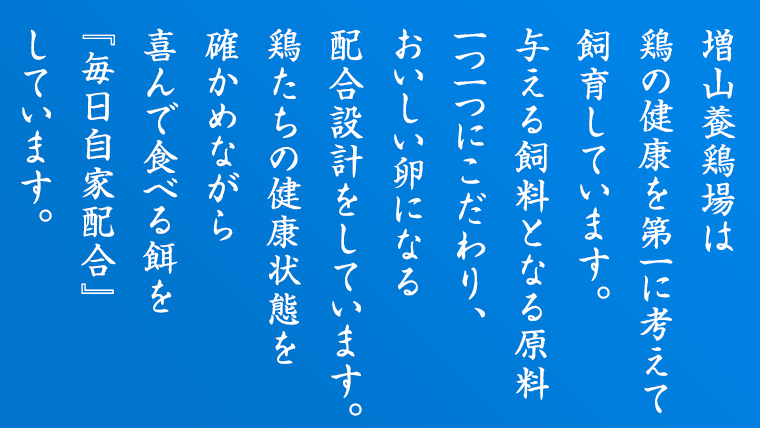 もったいない卵 30粒 ( 26粒 + 破損補償分 4粒) 卵 たまご 鶏 養鶏場直送　新鮮　訳アリ　規格外　お得 ふるさと納税 5000円 [CZ005ya]