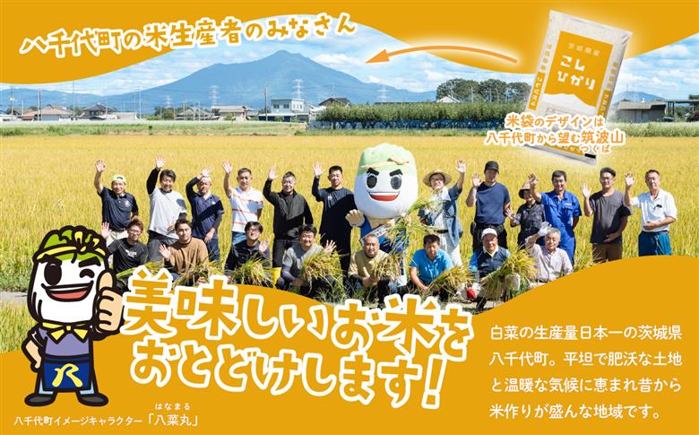 【1月発送】コシヒカリ 10kg 令和7年産 新米 茨城県産 白米 精米 茨城県 お米 米 [SF357yai] 【1月発送】コシヒカリ 10kg(5kg×2袋)