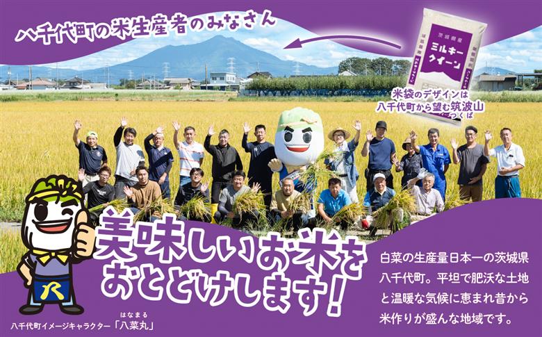【1月発送】ミルキークイーン 5kg 令和7年産 新米 茨城県産 白米 精米 茨城県 お米 米 [SF368yai] 【1月発送】ミルキークイーン 5kg(5kg×1袋)