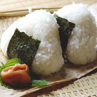 贈答用ななひかり米 4.9kg（2kg×2、600g×1、300g×1)【 無洗米 】 米 こしひかり コシヒカリ こめ コメ ご飯 ごはん 茨城県 八千代町 23000円 贈答 ギフト プレゼント [AR005ya]