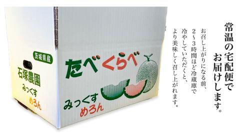 タカミレッド（赤肉）・タカミメロン（青肉）食べ比べ 2色 セット 合計4玉入り（約5kg～7kg）【2026年6月上旬以降発送】  期間限定 [BU003ya] 食べ比べ2色セット