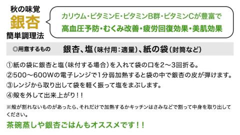 【 先行予約 2025年10月上旬以降発送 】銀杏 ぎんなん 約1kg ( 殻付き ・ L )　500g × 2袋 イチョウ 秋 美味 栄養満点 健康 高血圧予防 むくみ改善 疲労回復 美肌 [AX025ya]