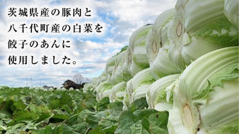 【生産量日本一！】総重量3750g！ 八千代町の白菜を使った ジューシー白菜餃子 150個（冷凍） ぎょうざ 冷凍餃子 惣菜 中華 点心 お取り寄せ ギョーザ ギョウザ 小分け おつまみ [BN004ya]