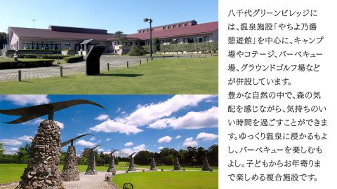 八千代グリーンビレッジ 「 やちよの湯 憩遊館 」 温泉 入浴 回数券 （ 20枚 ） 入浴券 おんせん 入浴チケット 旅行 ふるさと納税 34000円 [AN015ya] 【20回分】入浴券