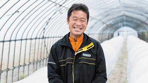 先行予約 小玉スイカ 姫甘泉ブラック 1箱（３～5玉入り）八千代町産 【 7月中旬 以降発送】 黒皮 すいか スイカ 西瓜 小玉 果物 フルーツ お取り寄せ [AV003ya]