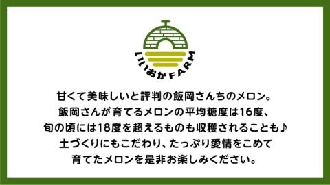 【 令和8年産 】【 先行予約 】クラリスメロン 秀品 1箱 3玉～5玉入り 飯岡 メロン クラリス 青肉 果物 フルーツ 甘い [CG003ya] クラリスメロン 秀品 3玉～5玉
