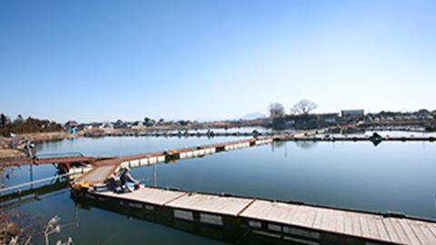 筑波流源湖ヘラブナ釣り回数券（５枚綴り）　[AZ003ya]