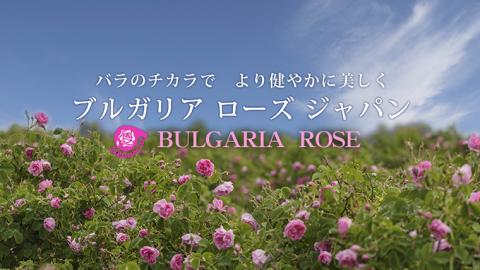 BULGARIA ROSE ダマスク ローズ ウォーター 80ml×2本 ダマスクローズ ローズウォーター 母の日 美容 スキンケア コスメ 化粧水 バラ 保湿 肌 ふるさと納税