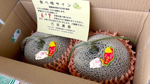 筑波レッドメロン 1箱 2玉 入り（約 3.5kg ～ 5kg ）【2026年6月上旬以降発送】 メロン レッド 赤肉 甘い 期間限定 産地直送 果物 フルーツ [BU001ya] 筑波レッドメロン2玉