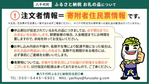 ゴルフ練習場回数券 5回券（250球） メンバー用 イベントやチケット ゴルフ場利用券 打ちっぱなし 回数券 アウトドア メンバー  [CD001ya]: 八千代町ANAのふるさと納税