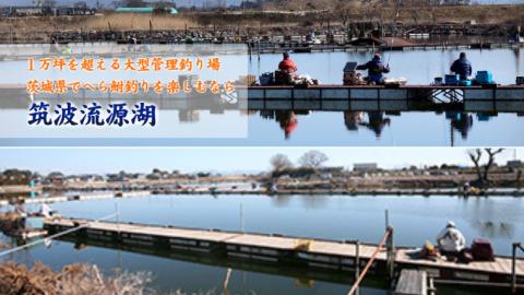 【 八千代グリーンビレッジ 憩遊館 やちよ乃湯 】 温泉 入浴 回数券 3回分 ＋【 筑波流源湖 】 ヘラブナ釣り 回数券 3回分 つり 利用券 体験 チケット セット [AN011ya] 【3回分】入浴券 + ヘラブナ釣り