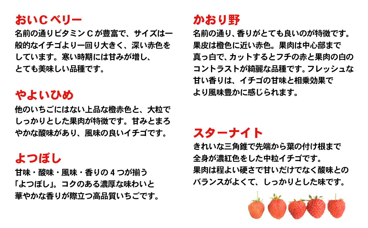 【 先行予約 2026年1月中旬以降発送 】 数量限定 農家直送 ♪ 八千代町産 いちご ボリュームパック （ 4パック ） 人気 の 詰め合わせ セット イチゴ 苺 季節限定 茨城県 フルーツ 果物 食べ比べ セット [AJ002ya]