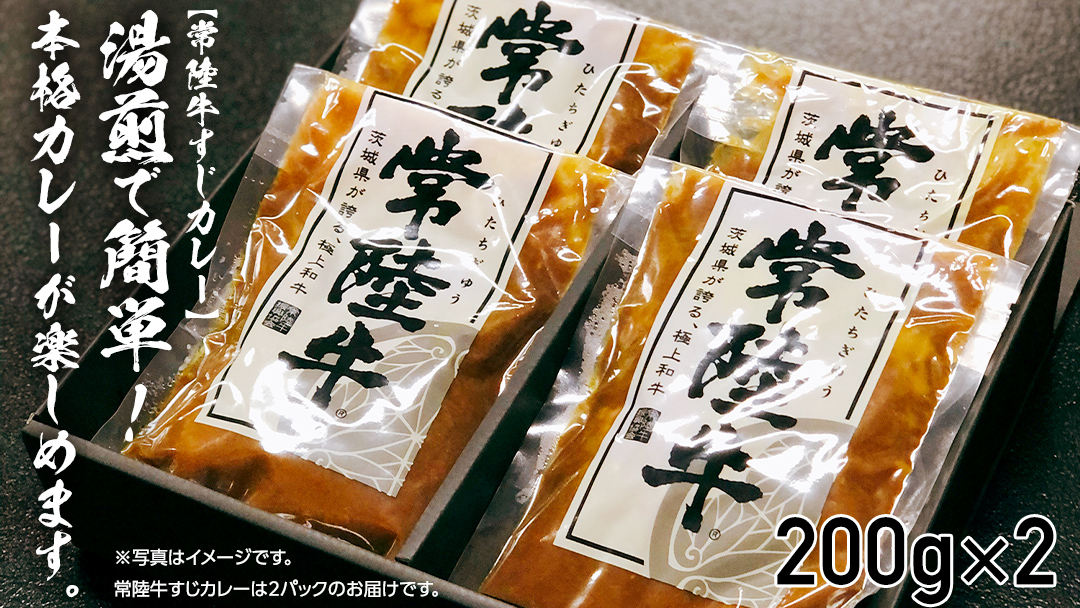 【茨城県共通返礼品】【 常陸牛 】 すじカレー 200g × 2 ・ ピリ辛 すじ煮込み 250g × 2 食べ比べ セット 常陸牛 カレー すじ煮込み 牛肉 時短 ふるさと納税 10000円 [AU105ya]