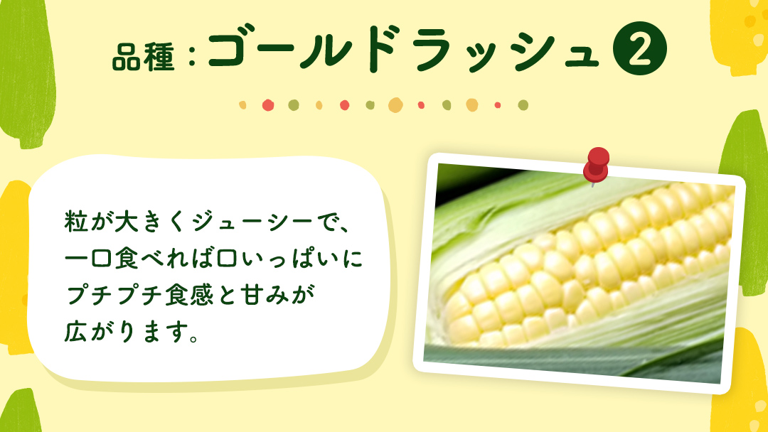 【先行予約 2026年6月中旬以降発送 】 【 令和8年産 】【 訳あり 】 朝採り とうもろこし （ ゴールドラッシュ ） 約 6kg トウモロコシ スイートコーン コーン 野菜 産地直送 期間限定 岩田さん 昼めし旅 [AX021ya] 【訳あり】ゴールドラッシュ（約6kg）