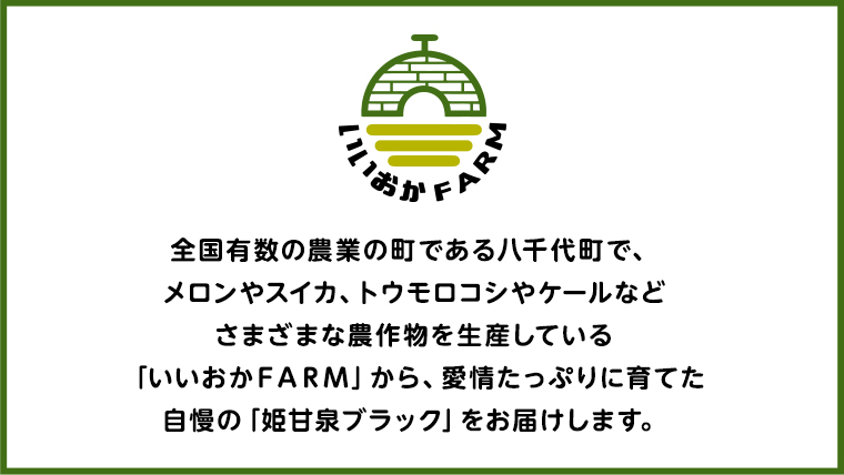 【 令和8年産 】【 先行予約 】小玉 スイカ 姫甘泉ブラック 1箱 2玉入り すいか 黒 西瓜 数量限定 甘い 夏 果物 [CG005ya] 小玉スイカ 姫甘泉ブラック 2玉