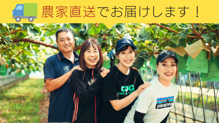 八千代町産 シャインマスカット 約1.2kg ( 2～3房 ) 【 2026年8月下旬以降発送】 産地直送 フルーツ ぶどう 果物 ブドウ 葡萄 マスカット 先行予約 数量限定 ふるさと納税 [CU001ya] シャインマスカット 約1.2kg ( 2～3房 )