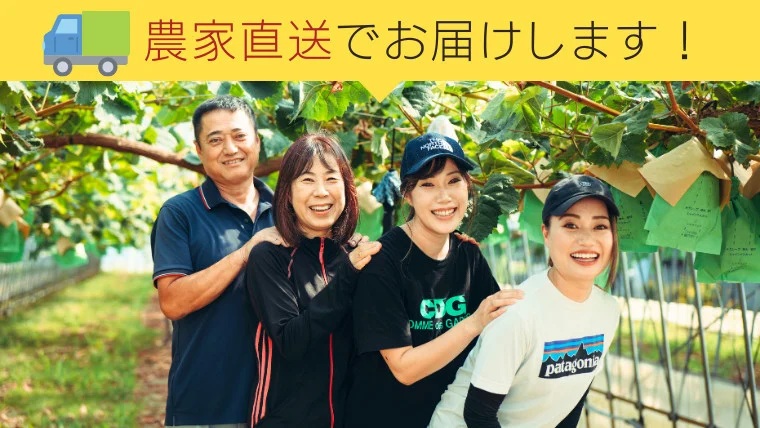 八千代町産 シャインマスカット 約1kg ( 2～3房 ) 【 2026年9月上旬以降発送】 産地直送 フルーツ ぶどう 果物 ブドウ 葡萄 マスカット 先行予約 数量限定 ふるさと納税 [CU003ya] シャインマスカット 約1.0kg ( 2～3房 )