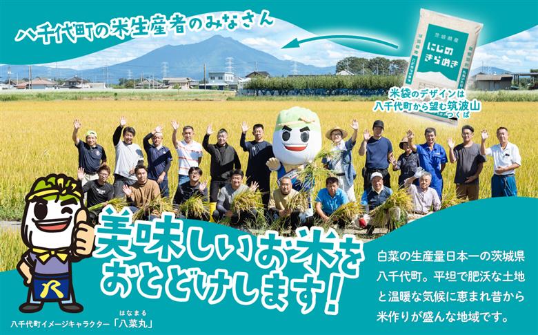【2月発送】にじのきらめき 5kg 令和7年産 新米 茨城県産 白米 精米 茨城県 お米 米 [SF403yai] 【2月発送】にじのきらめき 5kg(5kg×1袋)