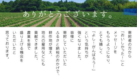 茨城 八千代町産 国産 紅はるか 干し芋 平干し 150g × 3 袋 ( 450g ) ポテト ラボ 特製 ほしいも 干しいも さつまいも お菓子 和菓子 [BW026ya]