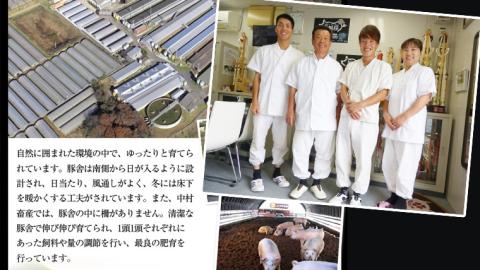 【茨城県共通返礼品／行方市】 美明豚 しゃぶしゃぶ用 食べ比べセット 約1,800g 豚肉 豚 SPF ブランド豚 詰め合わせ 食べ比べ [CF002ya]