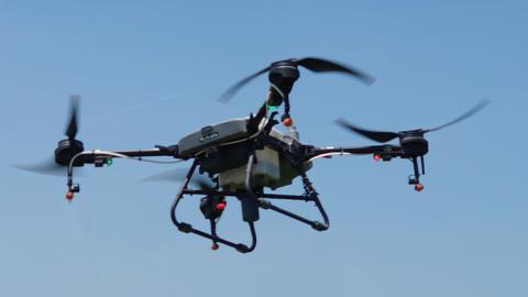 令和7年産 茨城県産 ミルキークイーン 10kg 精米 米 こめ コメ 農家 直送 こだわり お米 おこめ 茨城 [BG012ya] ミルキークイーン 10kg 精米