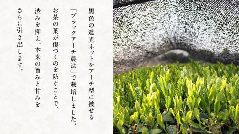お茶 フィナンシェ 10個 セット（緑茶 4個、ほうじ茶 3個、和紅茶 3個）猿島茶使用 ふるさと納税 10000円 国産 お菓子 スイーツ 猿島茶 [AF128ya]