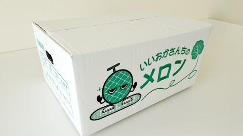 【 令和8年産 】【 先行予約 】クラリスメロン 秀品 1箱 3玉～5玉入り 飯岡 メロン クラリス 青肉 果物 フルーツ 甘い [CG003ya] クラリスメロン 秀品 3玉～5玉