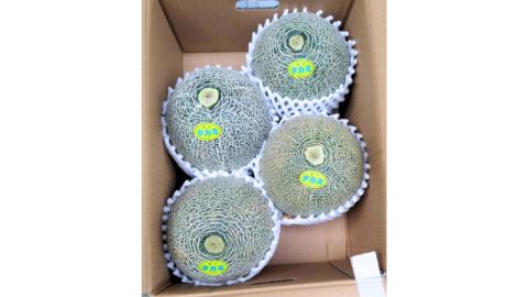 【先行予約】 【 6月中旬以降発送】  タカミメロン 秀品 1箱 3～4玉入り 期間限定 産地直送 果物 フルーツ メロン 青肉 甘い [AV008ya] タカミメロン３～４玉入