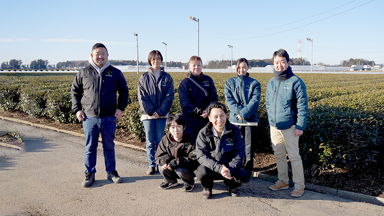 水出し ほうじ茶 ティーバッグ （ 5g × 30個 × 5袋 ）【合計 150個 】 お茶 お得 茨城県 [AF098ya]