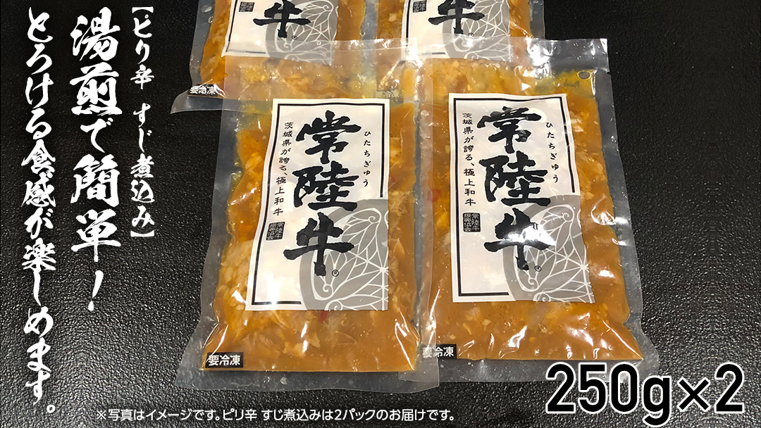 【茨城県共通返礼品】【 常陸牛 】 すじカレー 200g × 2 ・ ピリ辛 すじ煮込み 250g × 2 食べ比べ セット 常陸牛 カレー すじ煮込み 牛肉 時短 ふるさと納税 10000円 [AU105ya]