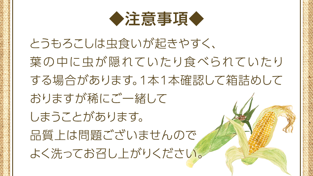 朝採り 農家直送 とうもろこし 6kg 「 おおもの 」【 先行予約2026年7月中旬以降発送】トウモロコシ スイートコーン コーン 野菜 大粒 大きい 新鮮 甘い 高糖度 サラダ 八千代町産 茨城県産 産地直送 [AX027ya]