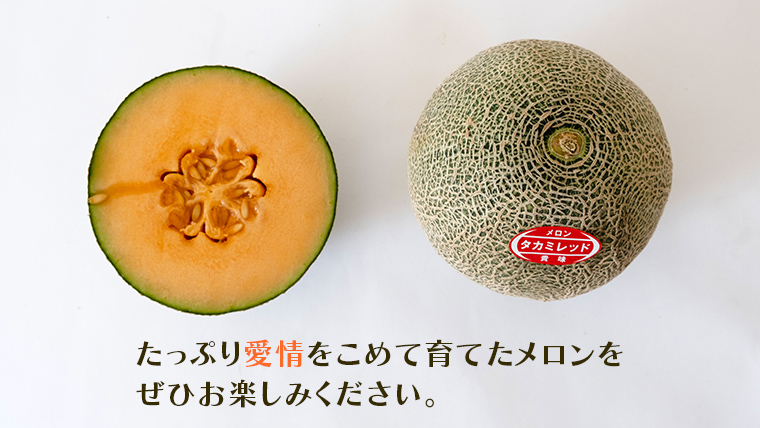 【 令和8年産 】【 先行予約 】タカミレッドメロン 秀品 1箱 2玉入り 飯岡 メロン 貴味 タカミ 赤肉 果物 フルーツ 甘い [CG002ya] タカミレッドメロン 秀品 2玉
