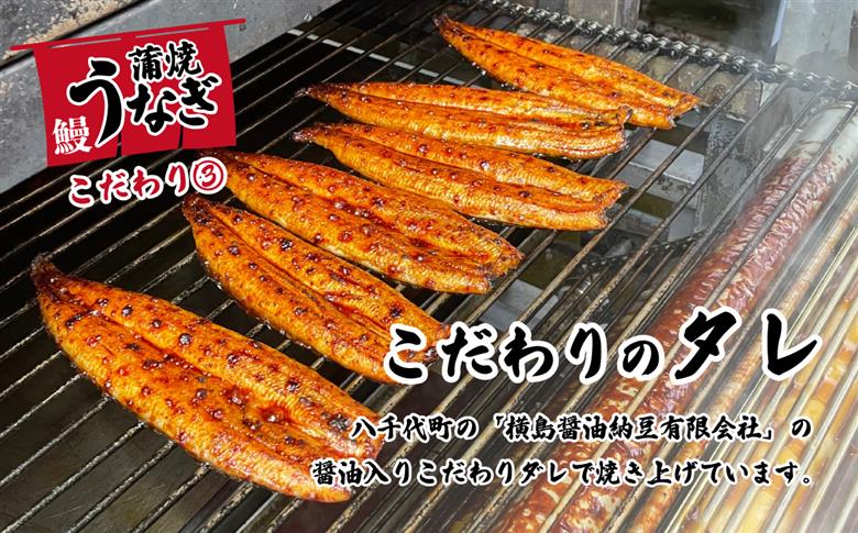 【 訳アリ 】国産うなぎ 蒲焼き 5尾 セット ( 640g 以上) 大きさ の不揃い 山椒付き ウナギ 鰻 ふぞろい 不揃い うな重 ひつまぶし 人気 茨城 八千代町 ふるさと納税 冷凍 [SF109ya] 上うなぎ 5尾